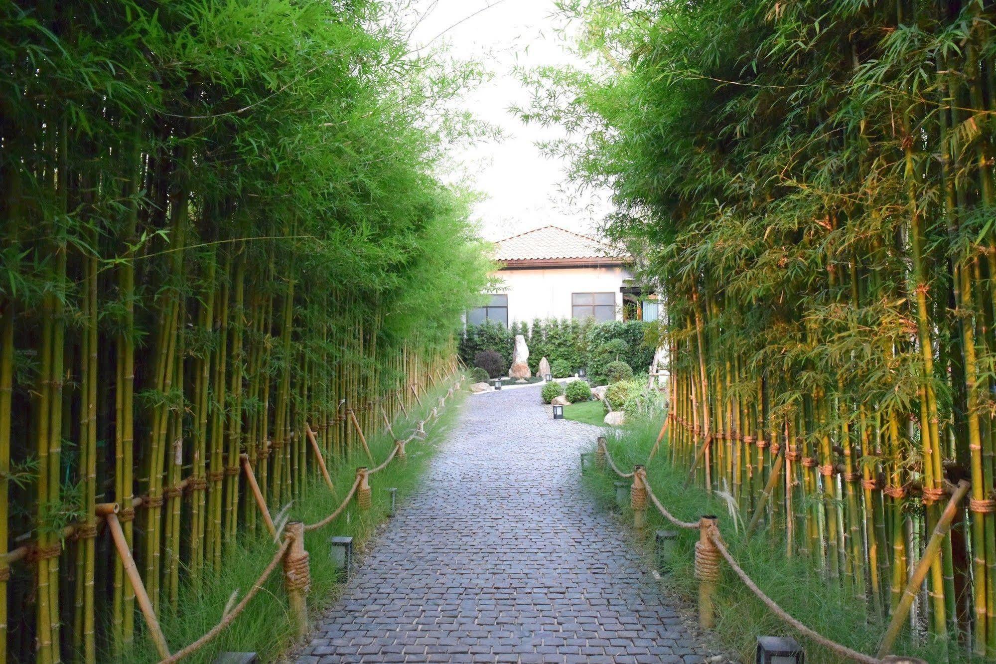 Zen Villa Khao Yai Muszi Kültér fotó